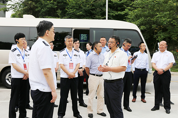 向家镇最新交通动态报道