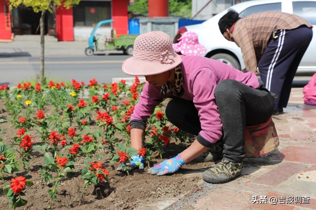 万良镇未来繁荣蓝图，最新发展规划揭秘