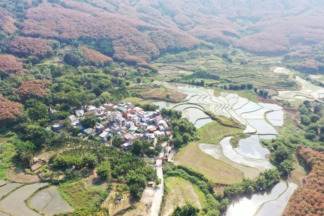 拥村最新项目重塑乡村未来愿景