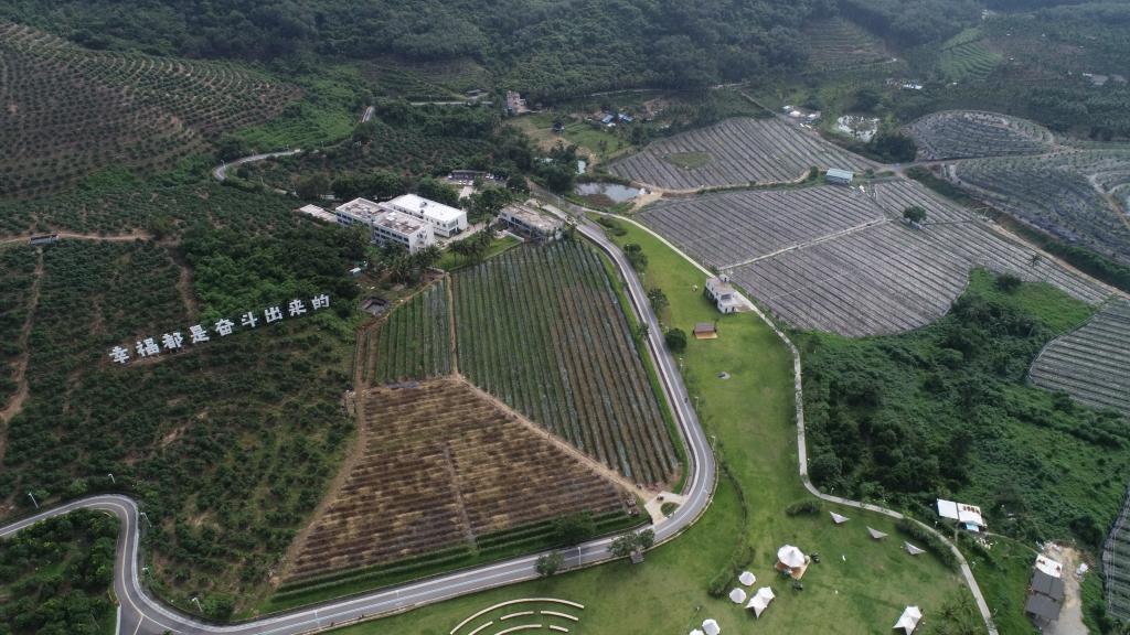 果园山村委会最新新闻动态报道