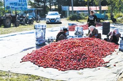 莫力庙苏木乡最新交通动态报道