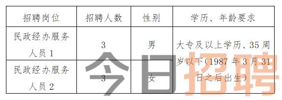 西宁市人口和计划生育委员会最新招聘概览