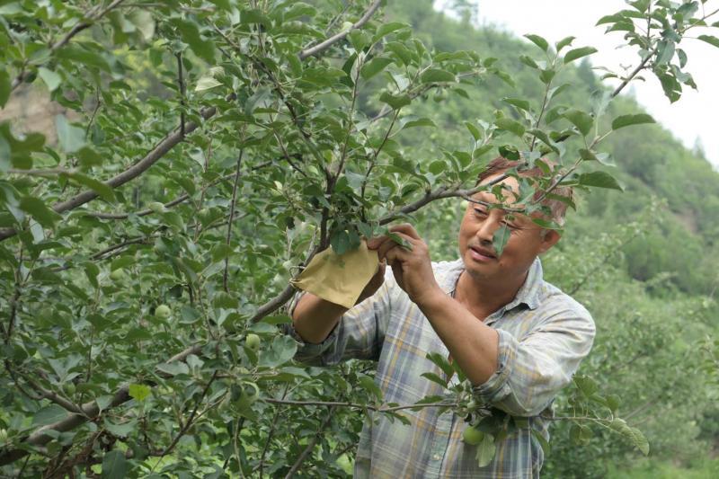 清水河经营所，交通发展与创新驱动地区繁荣