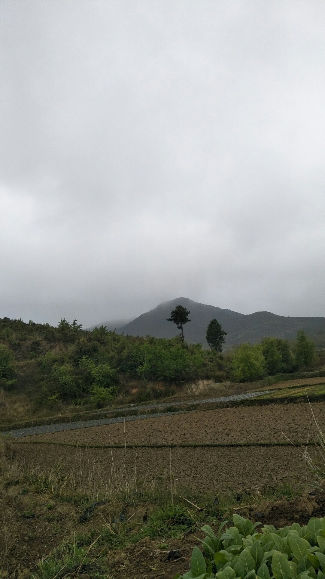 大沟乡天气预报更新通知