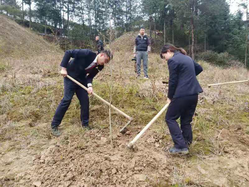 雾溪畲族乡新领导团队引领下的新气象