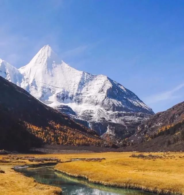 稻城县公安局领导团队，引领担当，共筑安全防线