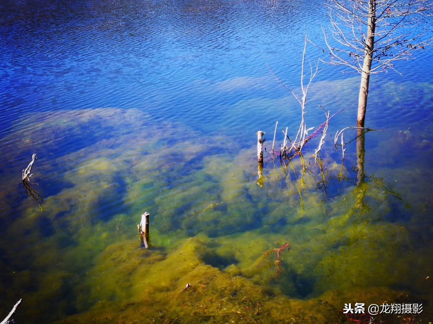 关岭布依族苗族自治县应急管理局领导介绍最新资讯