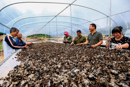 伊春市扶贫开发领导小组办公室最新招聘信息全面解析