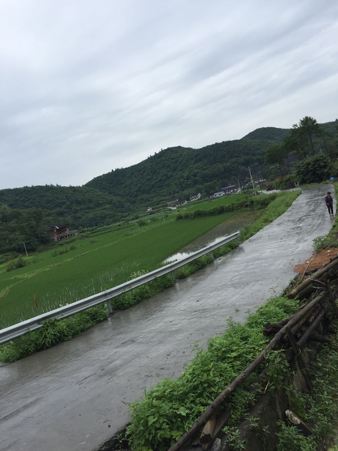 七里香村天气预报更新通知