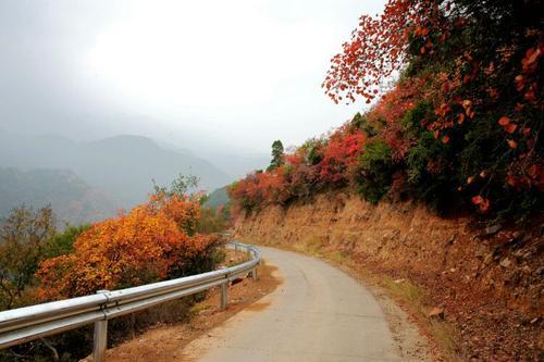 朝阳地镇最新新闻动态报道