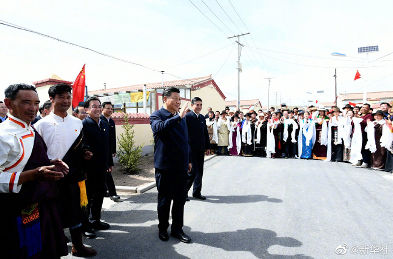 杨木川镇最新新闻综述，全面解读当地发展动态