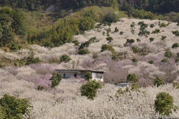 国营惠东梁化林场人事任命，重塑绿色发展力量之领导团队