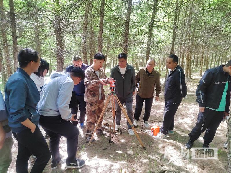 涵养林总场最新新闻动态报道