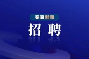 德州市广播电视局最新招聘启事概览