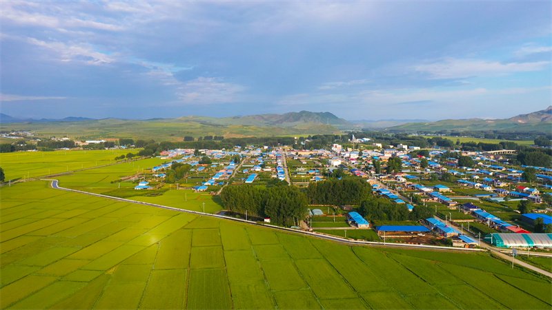 巴嘎村新貌，发展与变迁的最新报道