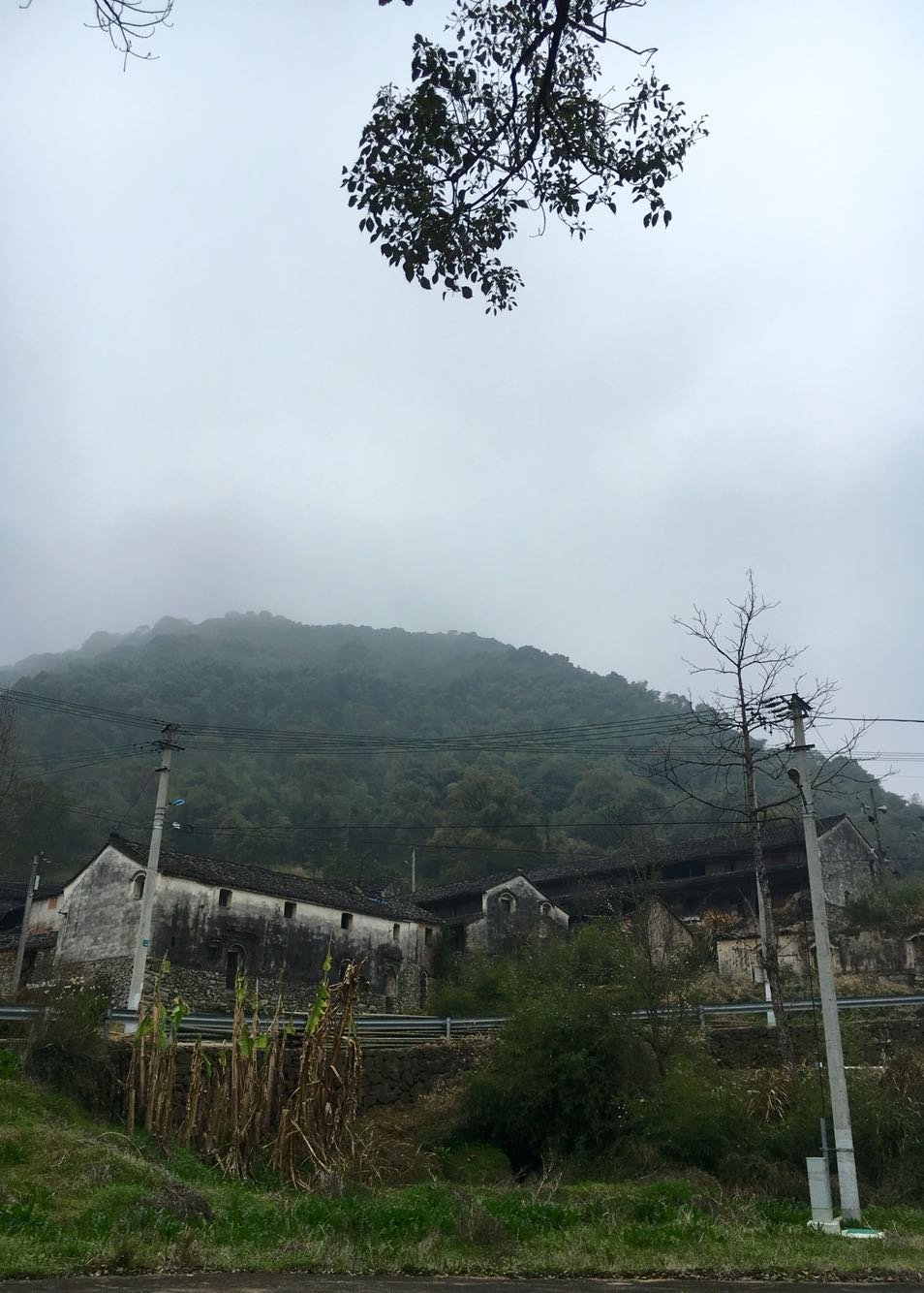 苏角村天气预报更新通知