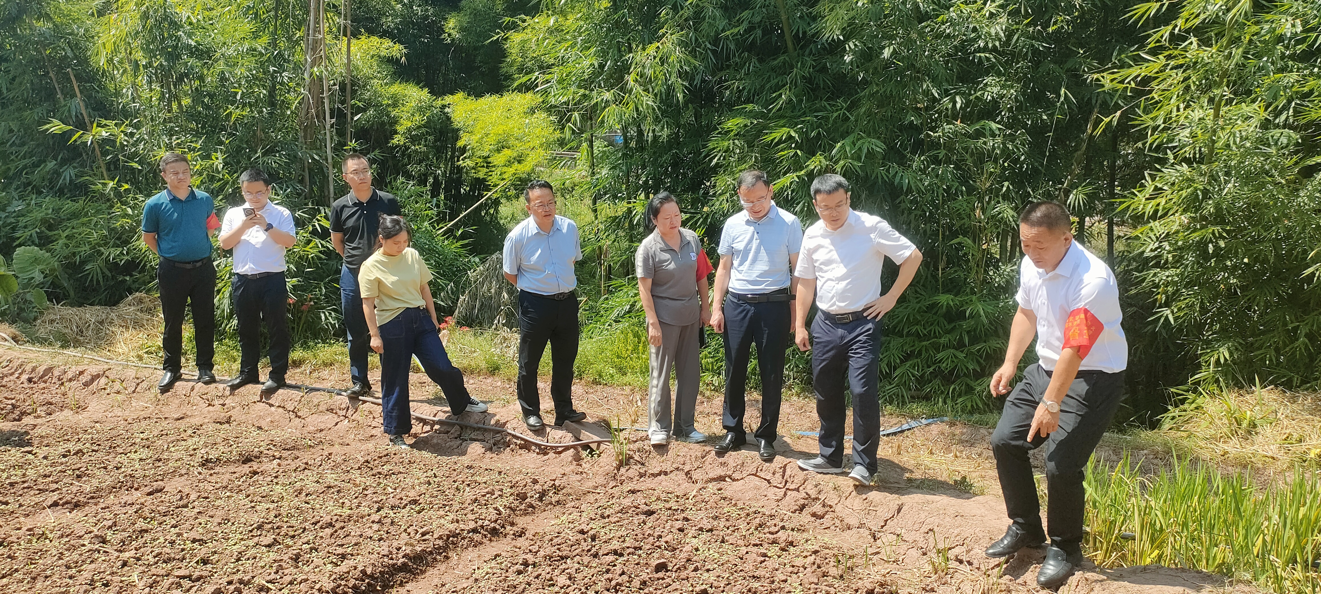 马武镇最新新闻报道概览