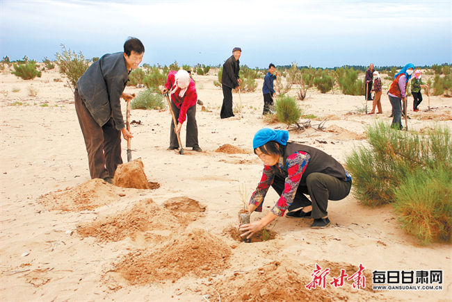 石羊河林业总场防风林实验站领导层最新变动及重要举措概述