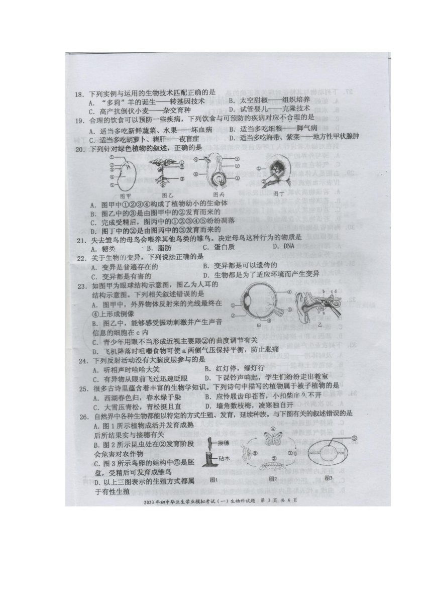 省直辖县级行政单位市行政审批办公室最新招聘信息深度解读