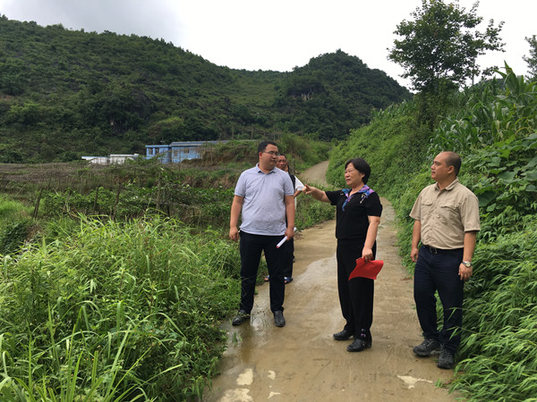 桠杈镇新项目，地区发展强大引擎引领未来