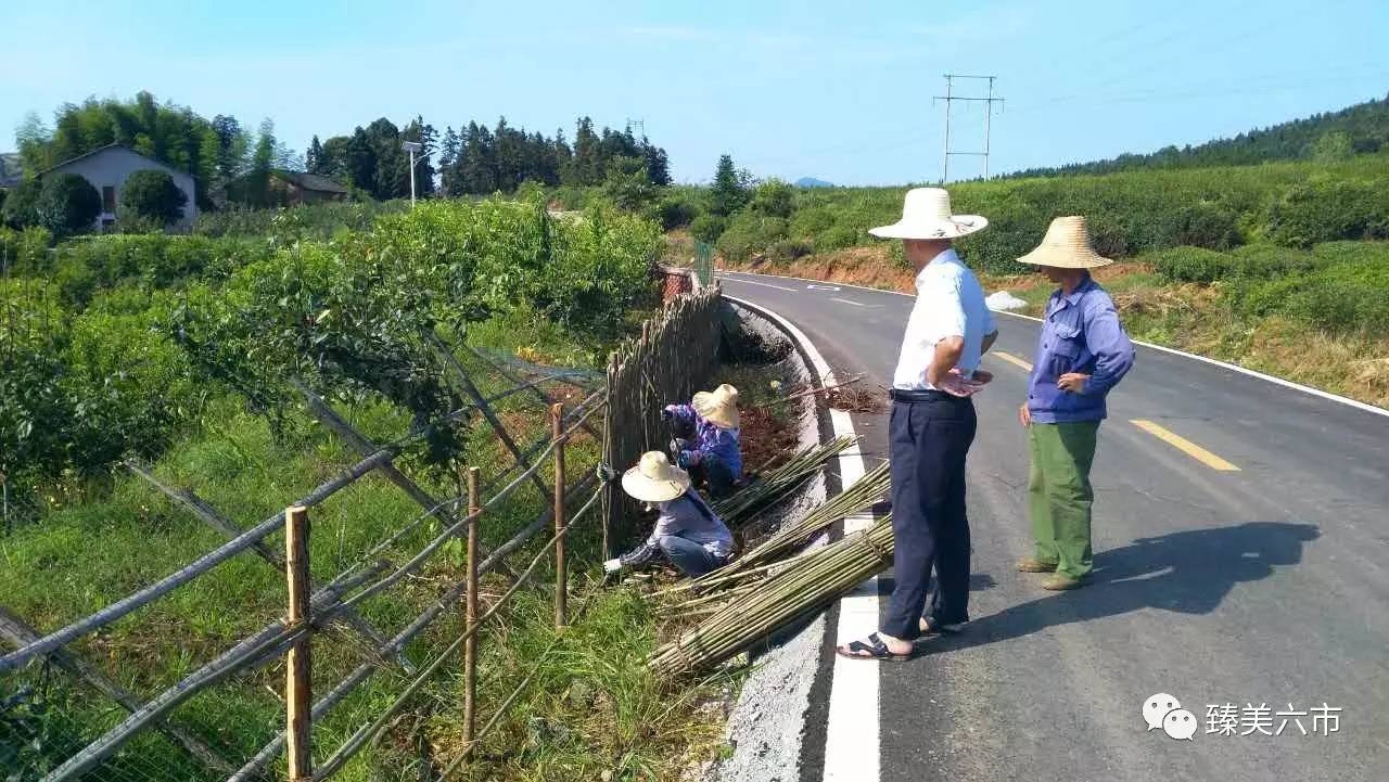 后谢乡交通状况持续改善，助推地方经济发展新动态